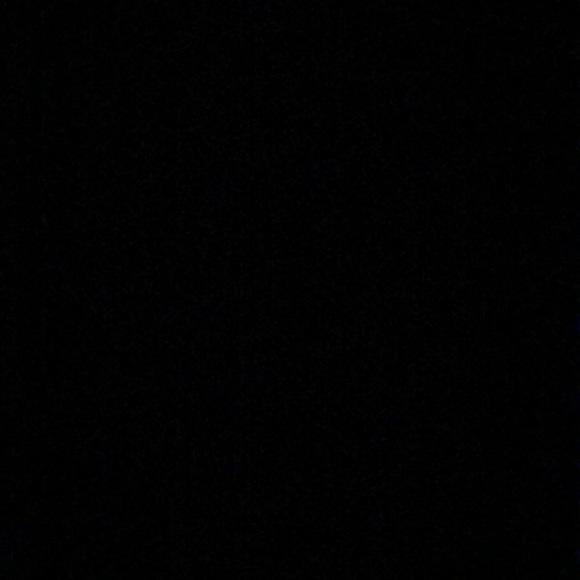 Meet your Posher, Delaney - Picture 1 of 1